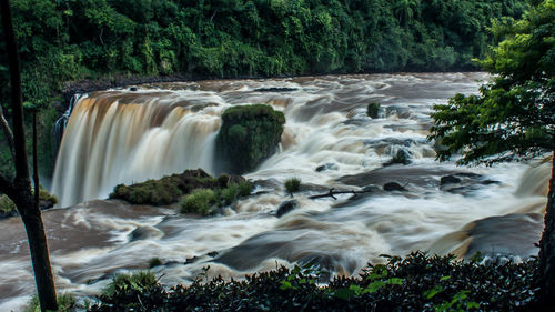 Scenic view of waterfall in forest