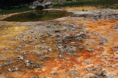 High angle view of water