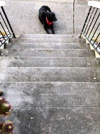 High angle view of woman walking on staircase