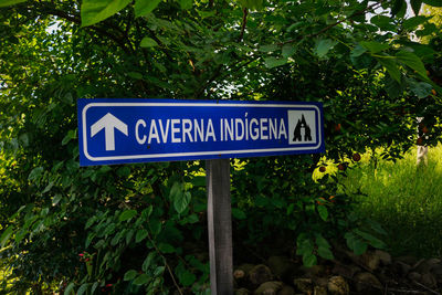 Close-up of road sign against trees