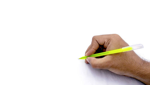 Close-up of hand holding leaf over white background