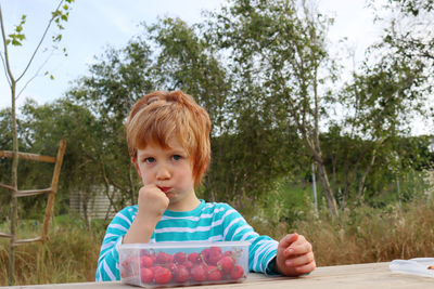 The blond boy eats his cherries and looks intently into the distance. a  boy eats fruit outdoors.