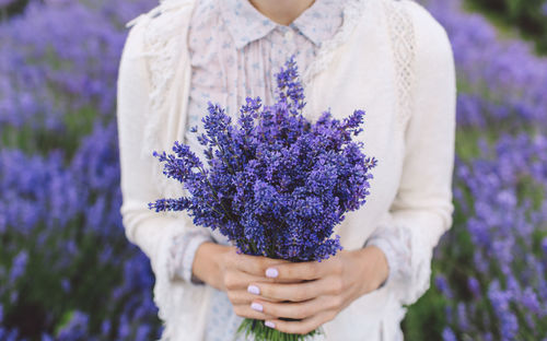 Midsection of woman holding lavender flowers on field