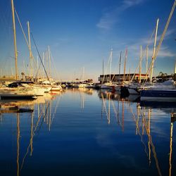 Sailboats in marina at harbor against blue sky