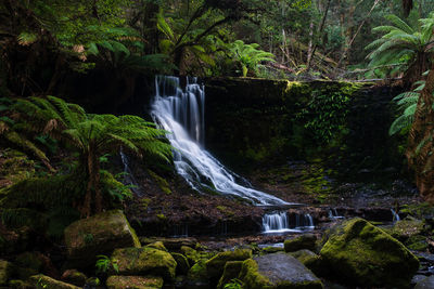 Waterfall at mt field national park