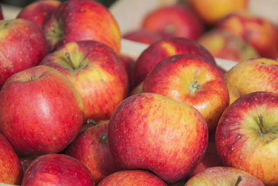 Close-up of red apples