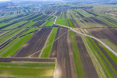 Aerial view of agricultural field