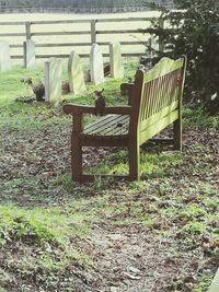 Chairs on grass