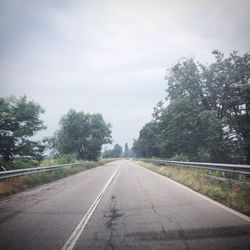 Country road along trees