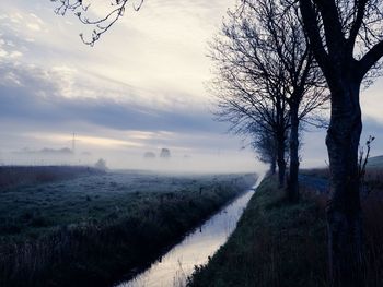 Bare trees on field against sky