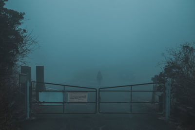 Bare trees in foggy weather against sky