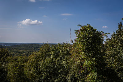 nature