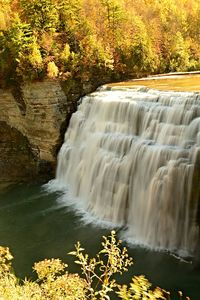 Scenic view of waterfall in forest