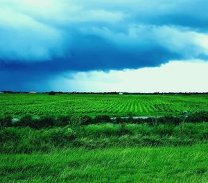 Scenic view of grassy field against cloudy sky