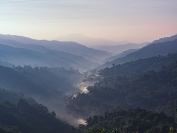 Beautiful landscape nature of rain forest and mountain. abundance evergreen forest and foggy.