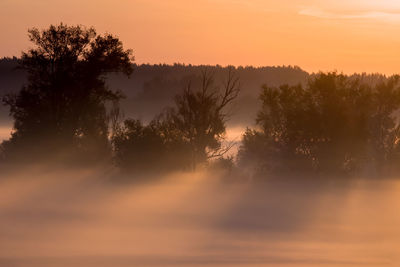 Silhouette trees on landscape against orange sky