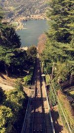 Railroad track in forest