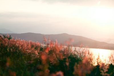 Scenic view of mountains against sky during sunset