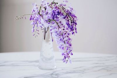 Close-up of pink flowers in vase