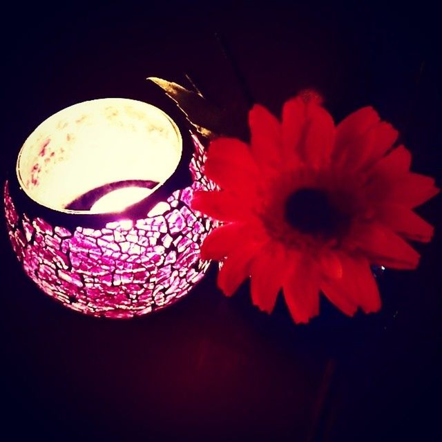 indoors, black background, red, close-up, studio shot, still life, flower, table, freshness, decoration, no people, high angle view, petal, flower head, illuminated, single object, fragility, design, dark, copy space