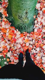 Low section of person standing on autumn leaves