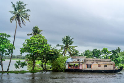 Palm trees by river against sky