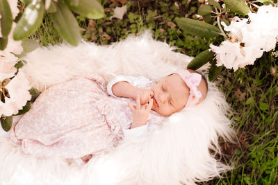 High angle view of girl lying on white flowering plants