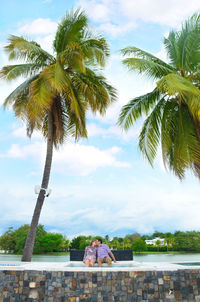 Low angle view of palm tree against sky