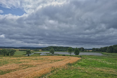 Scenic view of agricultural field against sky