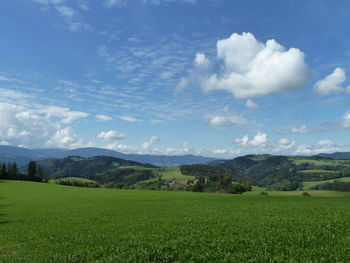 Scenic view of field against sky