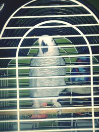 Low angle view of ceiling