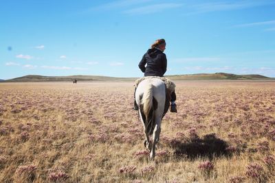 Rear view of woman riding horse on field at tierra del fuego against sky