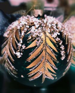 High angle view of succulent plant