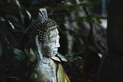 Close-up of angel statue