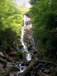 Waterfall in forest