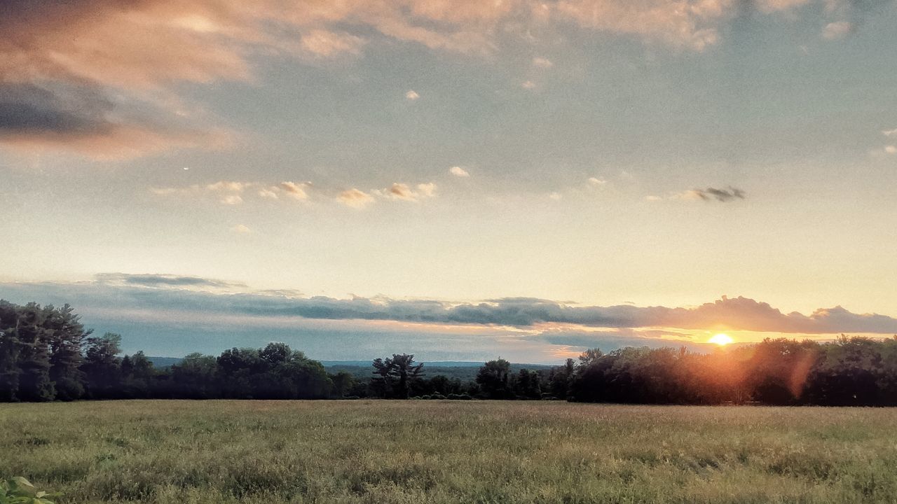 sky, tranquility, tranquil scene, beauty in nature, cloud - sky, scenics - nature, field, plant, sunset, environment, landscape, land, tree, no people, nature, grass, non-urban scene, sunlight, sun, idyllic, outdoors, bright