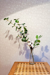 Close-up of plant in vase against wall