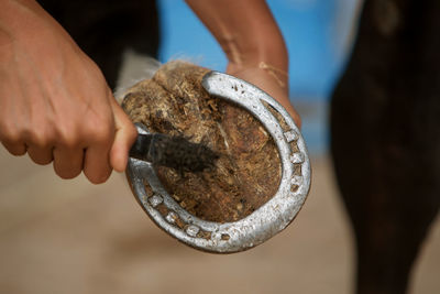 A close-up photo of a horse's hoof in his hand during cleaning