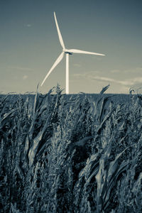 Wind turbines in farm against sky