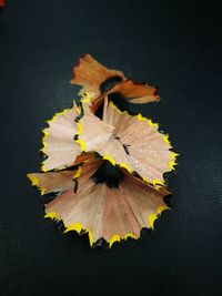 Close-up of pencil shavings on table