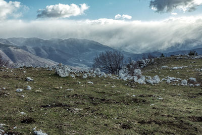 Scenic view of landscape against sky