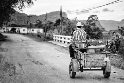 Rear view of man riding horse cart on road