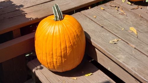 High angle view of pumpkin on table