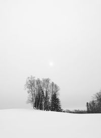 Trees on snow covered field against sky