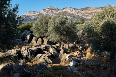 View of rocks and mountains against sky