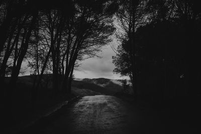 Empty road along trees