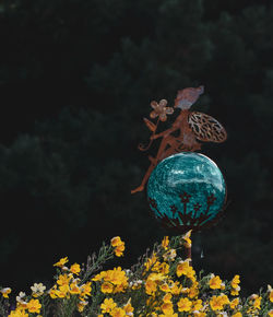 Close-up of yellow flower on tree branch against blurred background