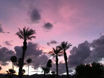 Low angle view of silhouette palm trees against romantic sky