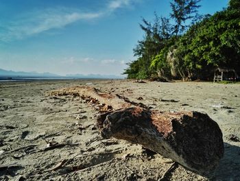 Scenic view of beach against sky