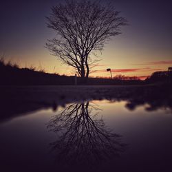 Silhouette bare tree by water against sky during sunset